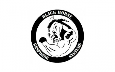 Black Horse Strategies LLC