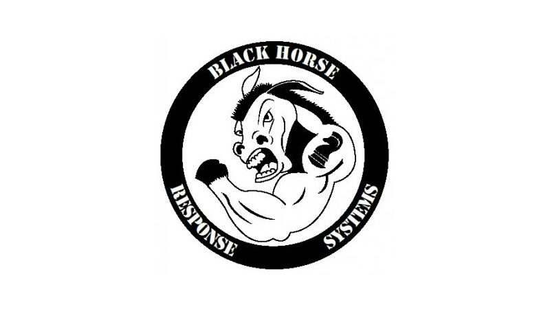 Black Horse Strategies LLC